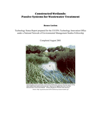 Constructed Wetlands: Passive Systems For Wastewater Treatment - CLU-IN