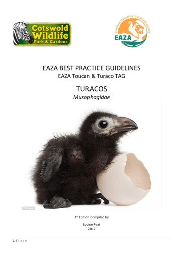 Eaza Best Practice Guidelines
