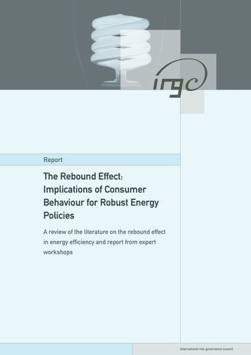 The Rebound Effect: Implications Of Consumer Behaviour For Robust .