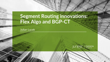 Segment Routing Innovations: Flex Algo And BGP-CT