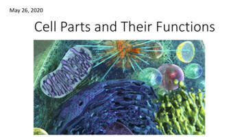 May 26, 2020 Cell Parts And Their Functions - IS 51