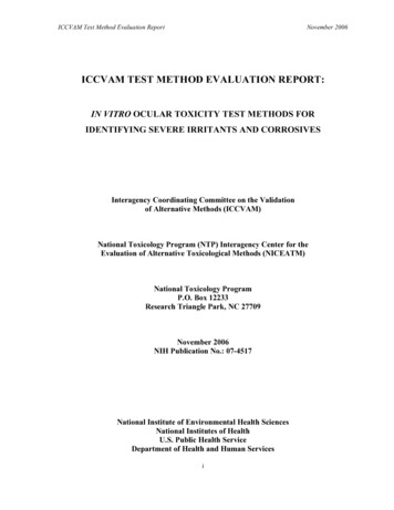 ICCVAM Ocular Test Method Evaluation Report (2006)