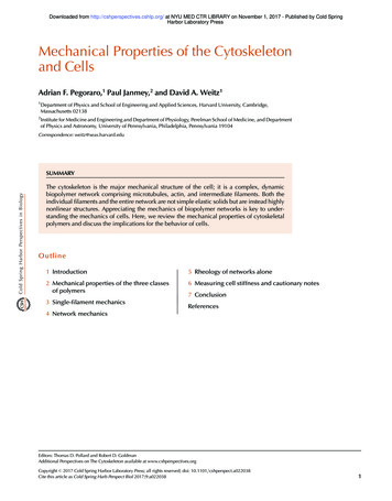 Mechanical Properties Of The Cytoskeleton And Cells