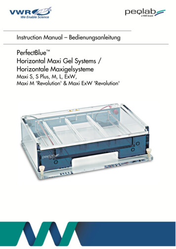 PerfectBlue Horizontal Maxi Gel Systems / Horizontale Maxigelsysteme