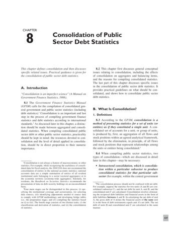 CHAPTER 8 Consolidation Of Public Sector Debt Statistics - TFFS
