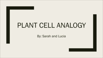 Plant Cell Analogy