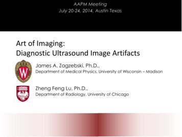 Art Of Imaging: Diagnostic Ultrasound Image Artifacts - AAPM