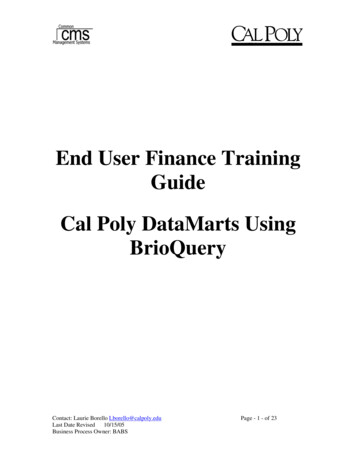 End User Finance Training Guide Cal Poly DataMarts Using BrioQuery