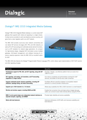Dialogic IMG 1010 Integrated Media Gateway