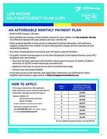 LOW INCOME SELF-SUFFICIENCY PLAN (LSP) - FormsPal