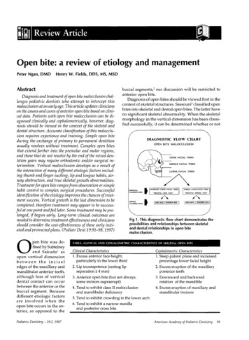 Open Bite: A Review Of Etiology And Management - AAPD