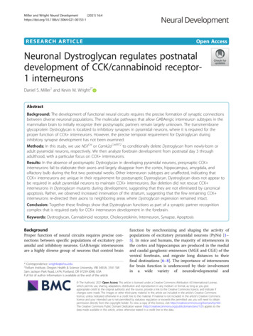 Neuronal Dystroglycan Regulates Postnatal Development Of CCK .