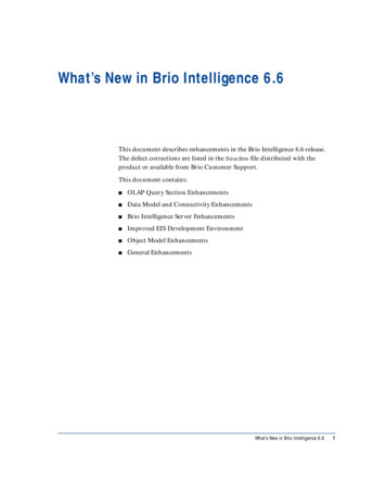 What's New In Brio Intelligence 6