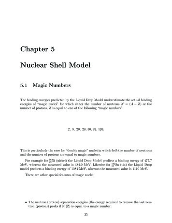 Chapter 5 Nuclear Shell Model - University Of Southampton