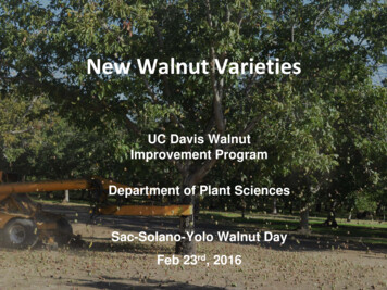New Walnut Varieties