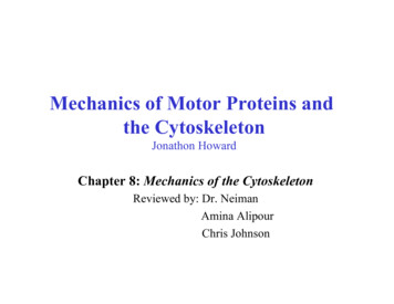 Mechanics Of Motor Proteins And The Cytoskeleton - Semantic Scholar