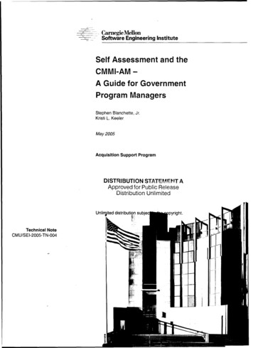 Self Assessment And The CMMI-AM - A Guide For Government Program Managers