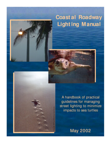 Coastal Roadway Lighting Manual - Volusia County, Florida