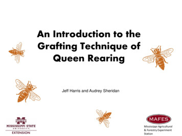 An Introduction To The Grafting Technique Of Queen Rearing