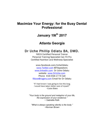 Maximize Your Energy: For The Busy Dental Professional - Hinman