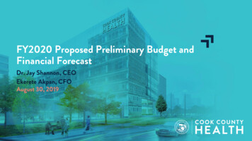FY2020 Proposed Preliminary Budget And Financial . - Cook County Health