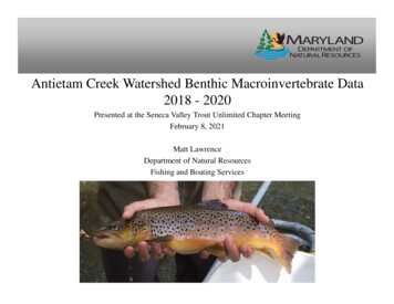 Antietam Creek Watershed Benthic Macroinvertebrate Data 2018 - 2020
