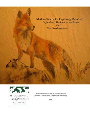 Modern Snares For Capturing Mammals - Minnesota Department Of Natural .