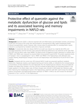 Protective Effect Of Quercetin Against The Metabolic Dysfunction Of .