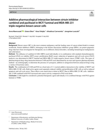 Additive Pharmacological Interaction Between Sirtuin Inhibitor Cambinol .