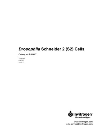 Drosophila Schneider 2 (S2) Cells - University Of Washington