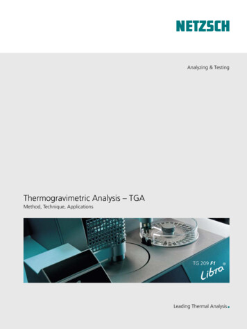 Thermogravimetric Analysis - TGA