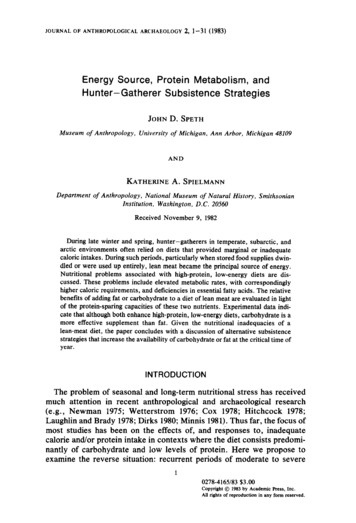Energy Source, Protein Metabolism, And Hunter-Gatherer Subsistence .