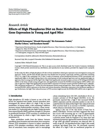 Research Article Effects Of High Phosphorus Diet On Bone Metabolism .