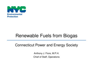 Renewable Fuels From Biogas - Ctpower 