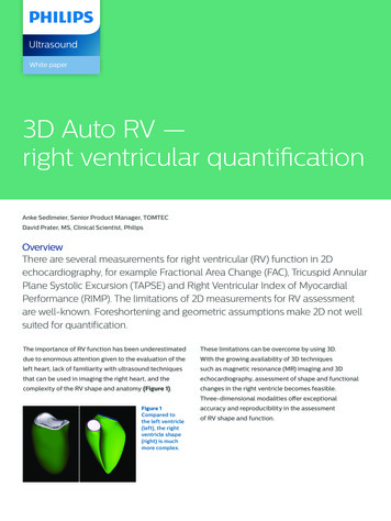 3D Auto RV — Right Ventricular Quantification - Philips
