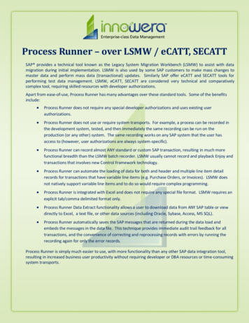 Process Runner - Over LSMW / ECATT, SECATT - Magnitude