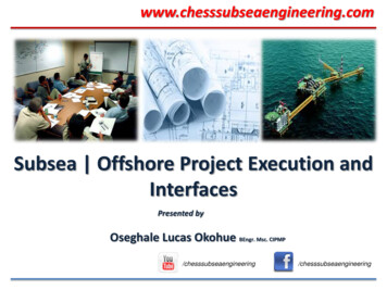 Subsea Offshore Project Execution And Interfaces