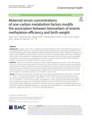 Maternal Serum Concentrations Of One-carbon Metabolism Factors Modify .