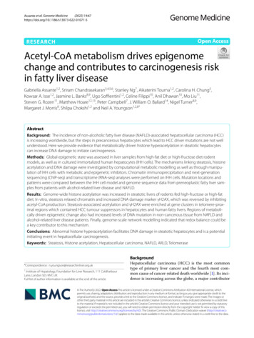 Acetyl-CoA Metabolism Drives Epigenome Change And Contributes To .