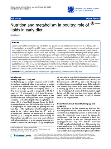 Nutrition And Metabolism In Poultry: Role Of Lipids In Early Diet