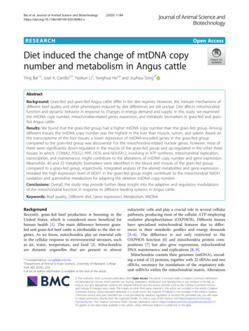 Diet Induced The Change Of MtDNA Copy Number And Metabolism In Angus Cattle