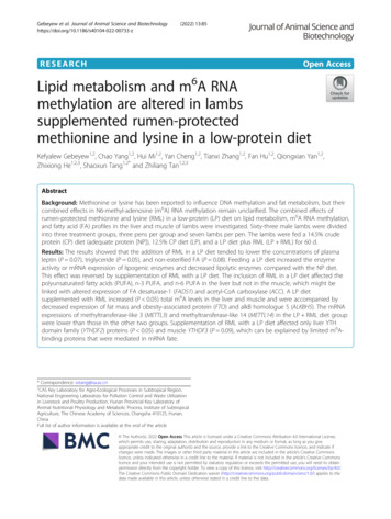 Lipid Metabolism And M6A RNA Methylation Are Altered In Lambs .