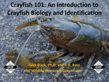Crayfish 101: An Introduction To Crayfish Biology And .