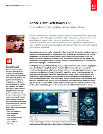 Adobe Flash Professional CS6 - Capricot