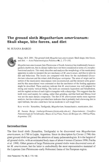 The Ground Sloth Megatherium Americanum: Skull Shape, Bite .