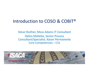 Introduction To COSO & COBIT 