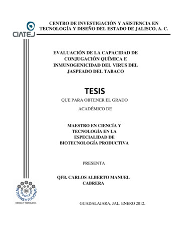 TESIS - Ciatej.repositorioinstitucional.mx