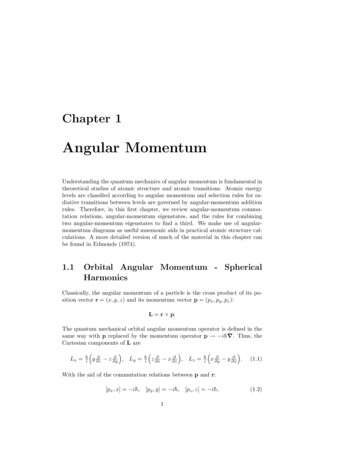 Angular Momentum - University Of Notre Dame