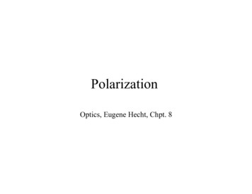Hecht Polarization - University Of Hawaiʻi