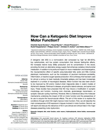 How Can A Ketogenic Diet Improve Motor Function?